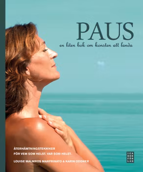 Paus, en liten bok om konsten att landa