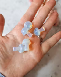 Minisvamp, Opalit (behandlat glas)