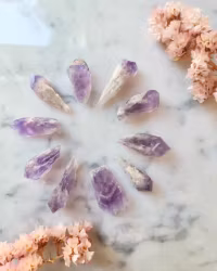 Bahia ametist, minispets