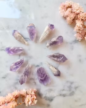 Bahia ametist, minispets