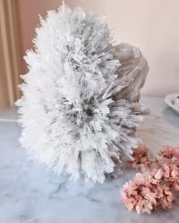 Scolecite, skolecit vitt nålkluster fr Indien 1861 gram nrB