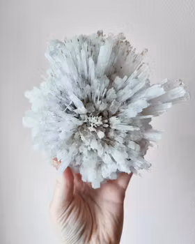 Skolecit, vitt kluster fr Indien Nr 3.3 (scolecite)