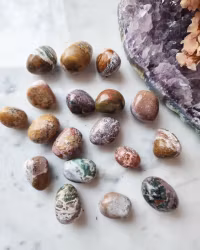 Ocean Jaspis, trumlad/cuddle