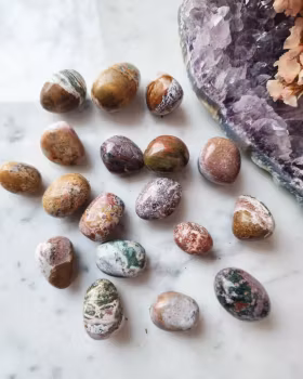 Ocean Jaspis, trumlad/cuddle