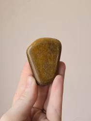 Tigeröga platt handsten nr 2