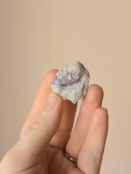 Spirit flower | Andeblomma, Mexico (R)