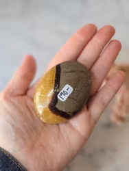 Septarian, palmstone/meditationssten (K)