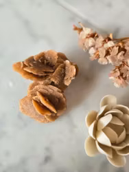 Ökenros/sandros nr 1.1