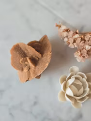 Ökenros/sandros nr 1.2