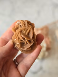 Ökenros/sandros nr 1.5