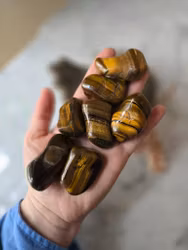 Tigeröga, stor trumlad bit