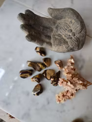 Nguni jaspis, trumlad