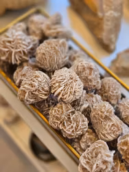 Ökenros/sandros ca 30-40gram