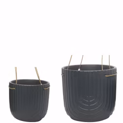 Ampel Fatima    (flera val)