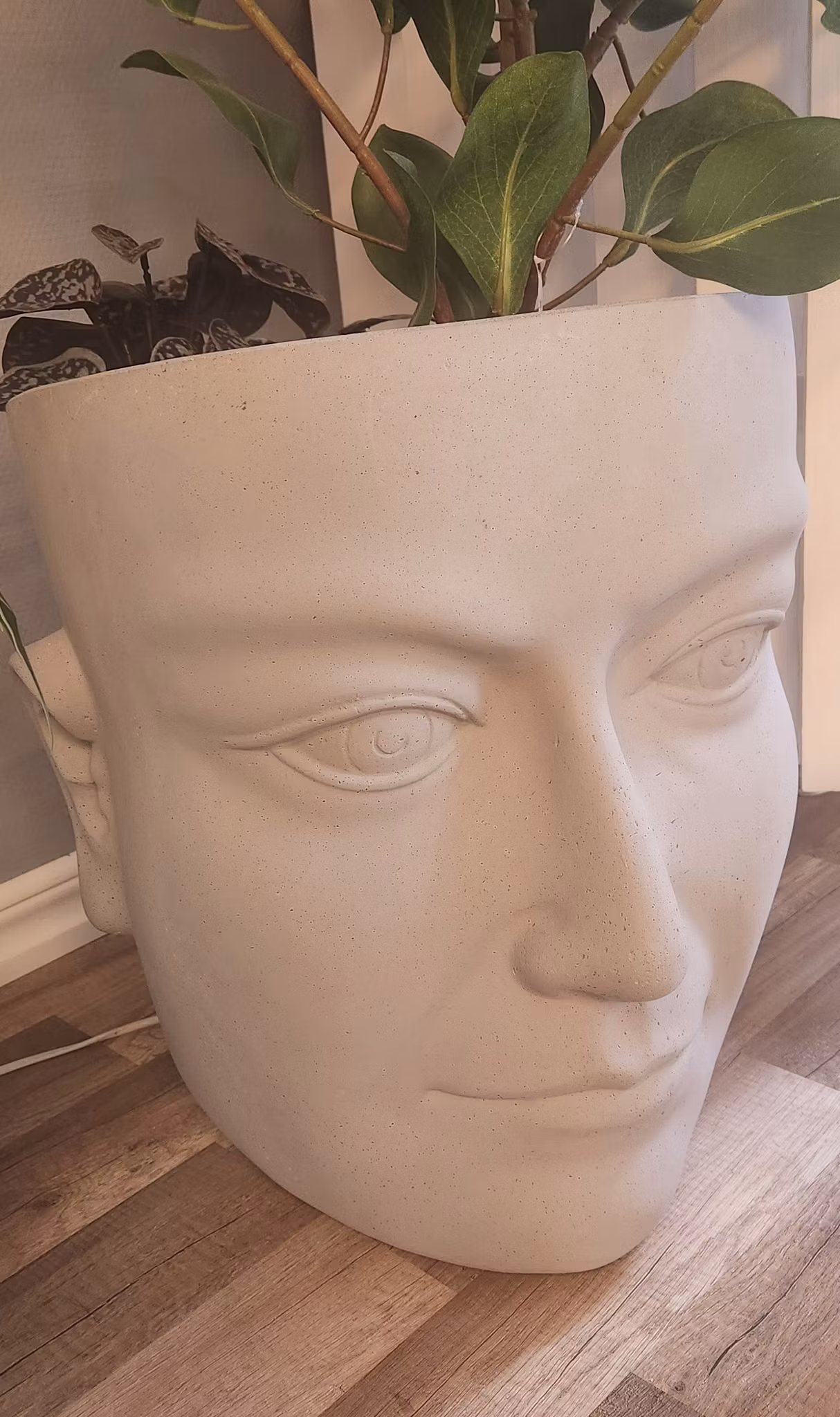 Cementkruka Face   (flera val)  " SKICKAS EJ"
