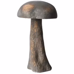 Svamp