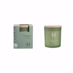 Doftljus Eucalyptus & Fresh Mint