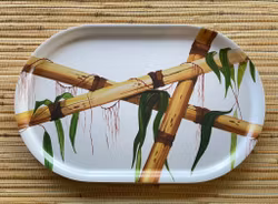 Bamboo