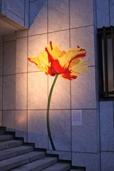Väggtulpan 200 cm
