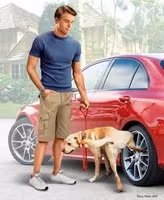 "Bart and Radley (dog). What he really thinks of your car"