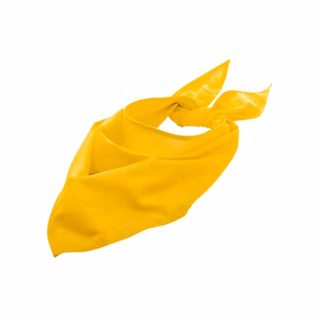 Bandana i mikrofiberblandning - 10-pack | SOL´S