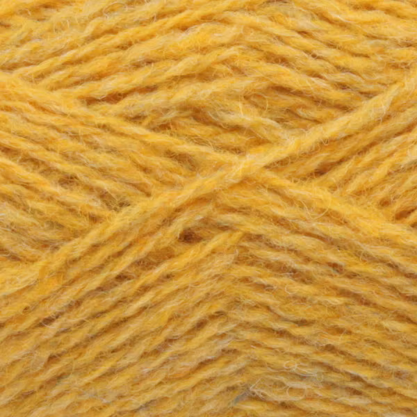 1160 Scotch Broom Spindrift