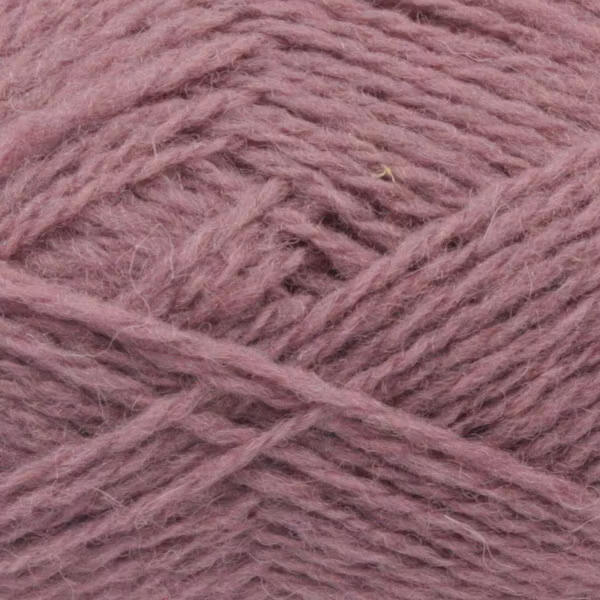 562 Cyclamen Spindrift