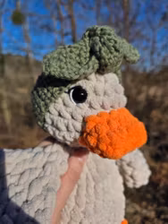 Della Duck 🪿 - sikkerhetsøyne