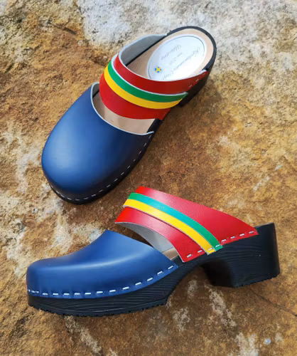 Ellen i de Samiska färgerna.            💙♥️💚💛