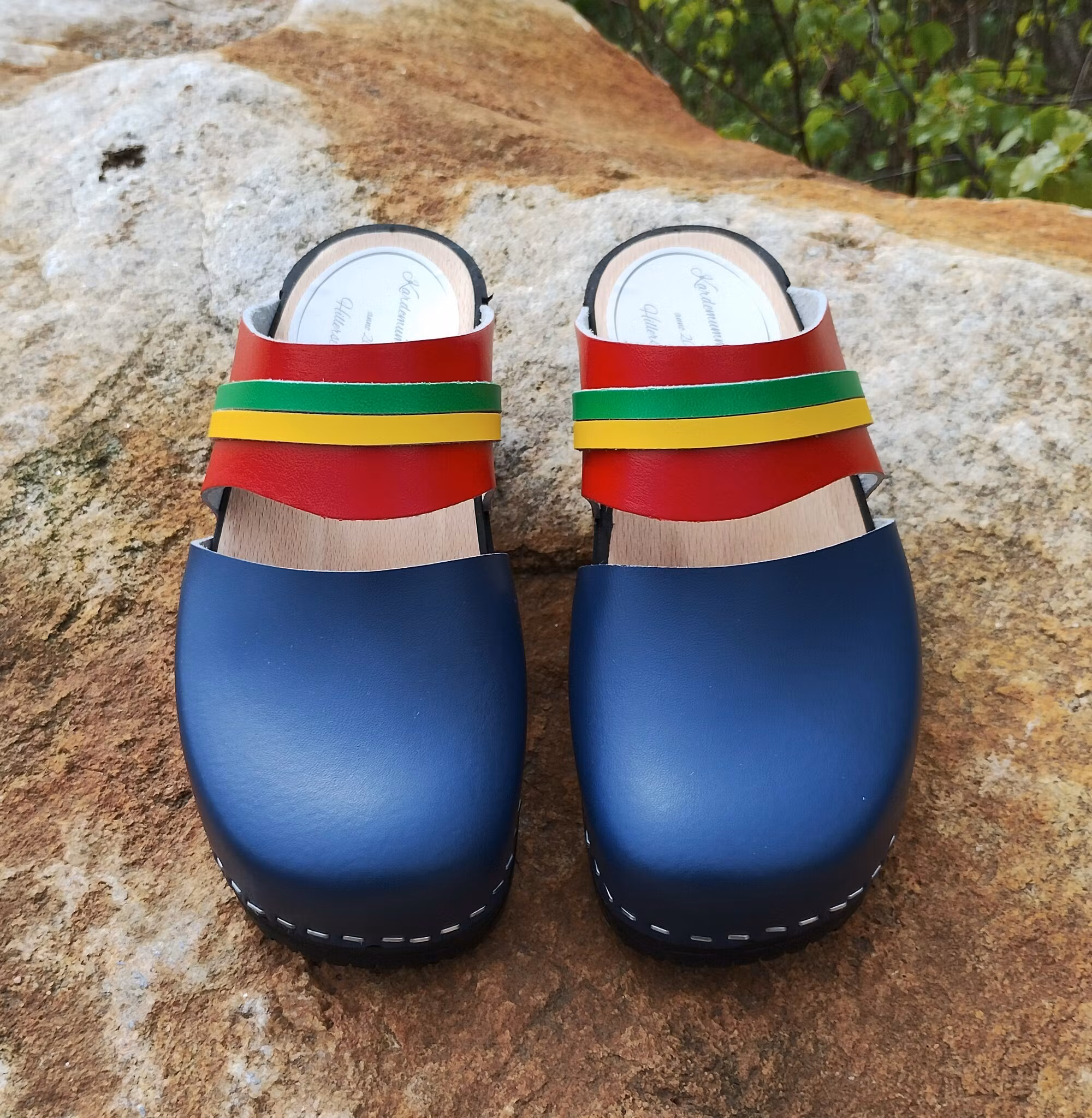 Ellen i de Samiska färgerna.            💙♥️💚💛