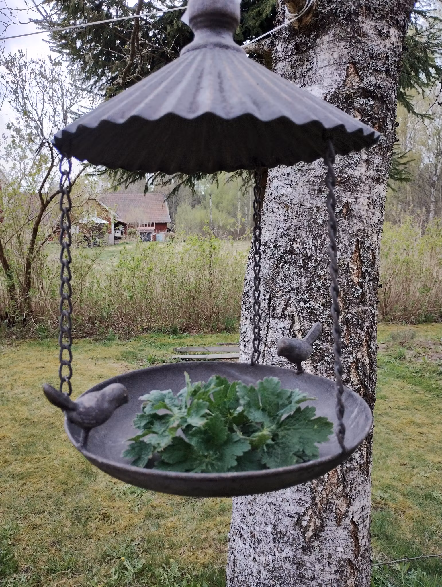 Fågelbad /matare i metall 🐦🐝🦋