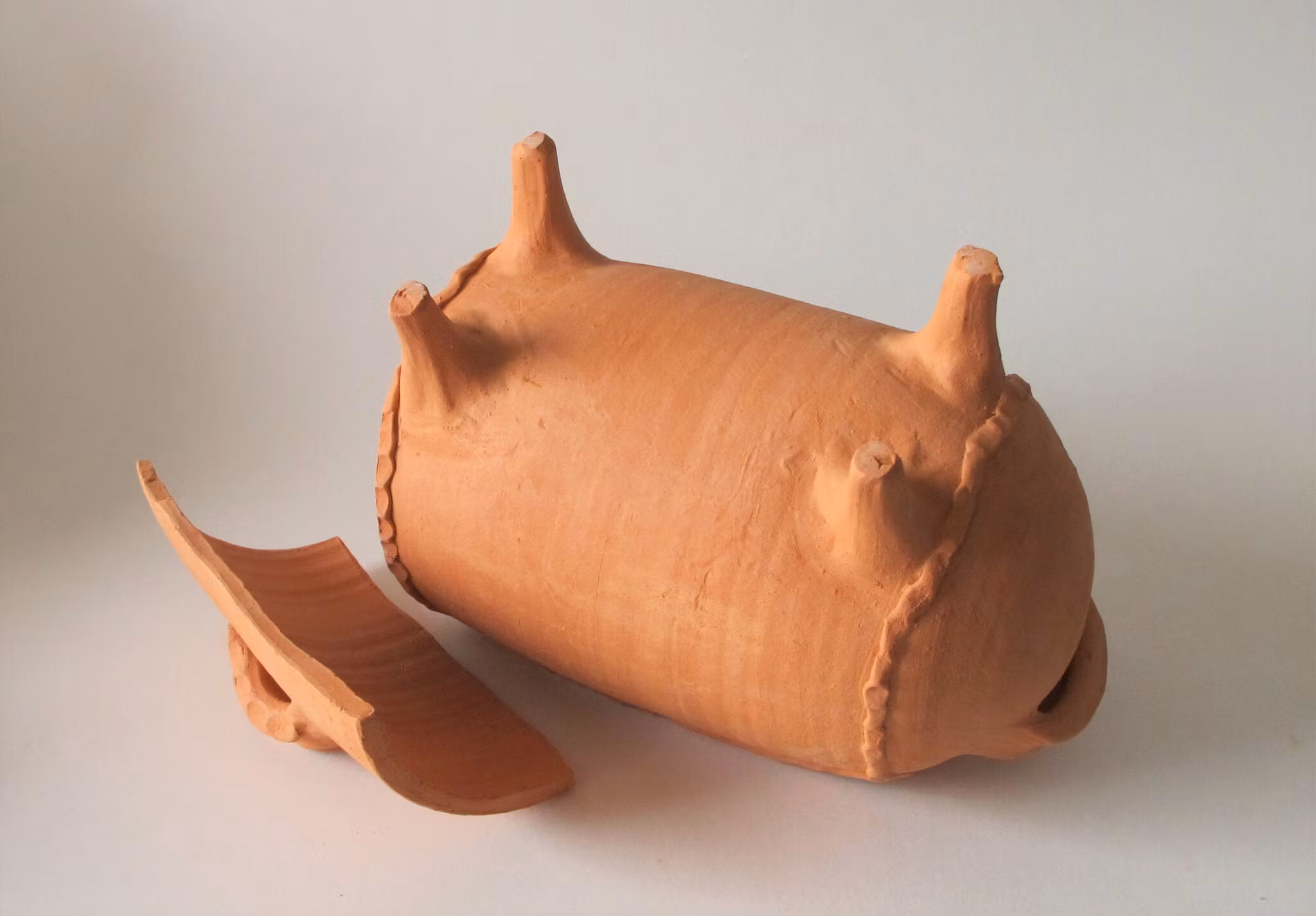 Grisgryta från Skanörs borg