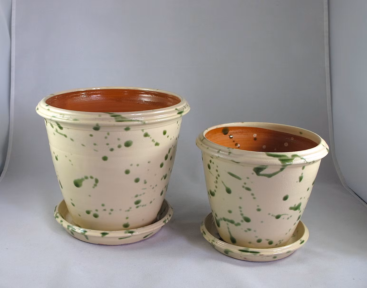 Blomkruka gröna stänk