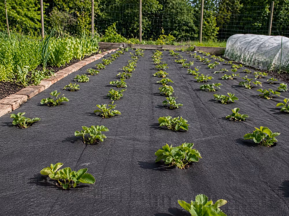 Marktäckväv 50g 1,5x30m – Ogräsduk svart | Agrotextil