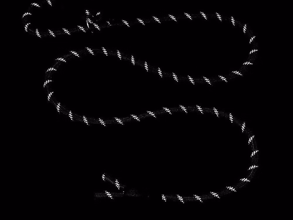 Hundkoppel - Starkt hundträningskoppel med handtag