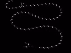 Hundkoppel - Starkt hundträningskoppel med handtag