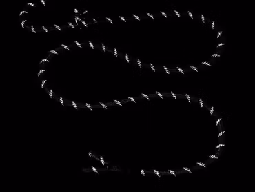 Hundkoppel - Starkt hundträningskoppel med handtag