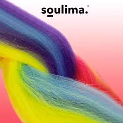 Syntetiskt hår regnbågsflätor