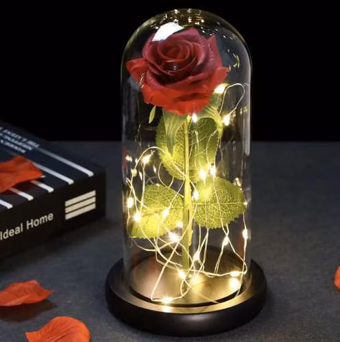 Röd Ros i Glaskupa med Belysning och Presentförpackning röd- Evighetsros