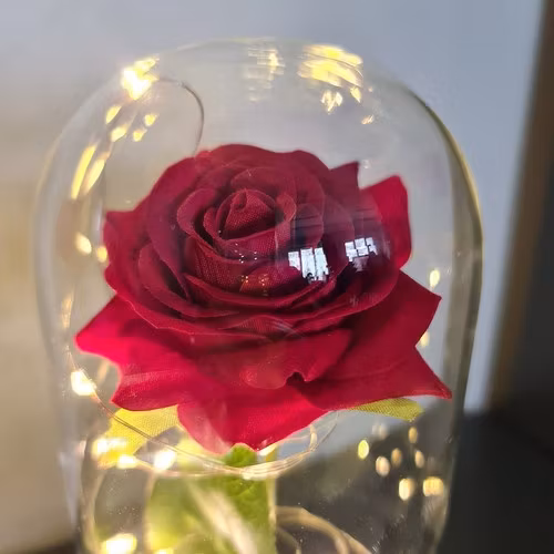 Röd Ros i Glaskupa med Belysning och Presentförpackning röd- Evighetsros