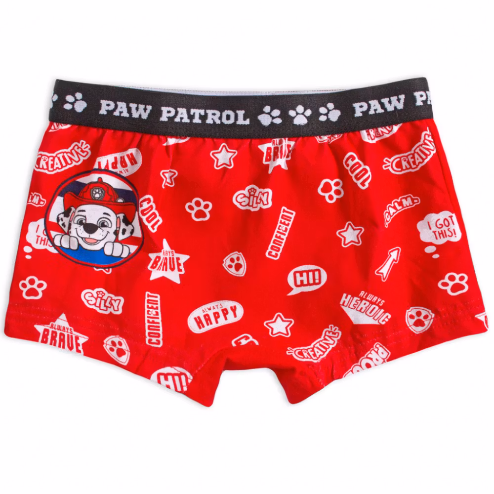 Barn Kalsonger - Paw Patrol barnboxershorts 2 pack
