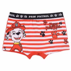 Barn Kalsonger - Paw Patrol barnboxershorts 2 pack