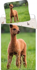 Lama dynebetræk 140x200 cm, 70x90 cm