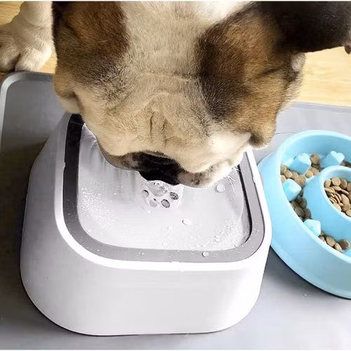 Hund- eller kattskål 1,5 l - Vattenskålar - set om 2