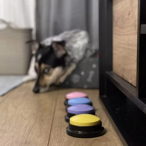 inspelade knappar för din hund