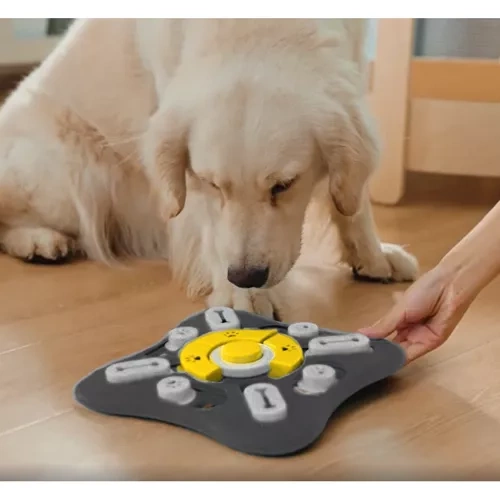 Interaktiv leksak för hund