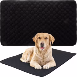 Hygienmatta för djur-Hund & Katt hygienmatta 70x50cm