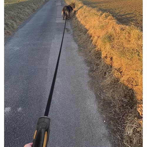 Automatiskt hundkoppel 5m - 15kg