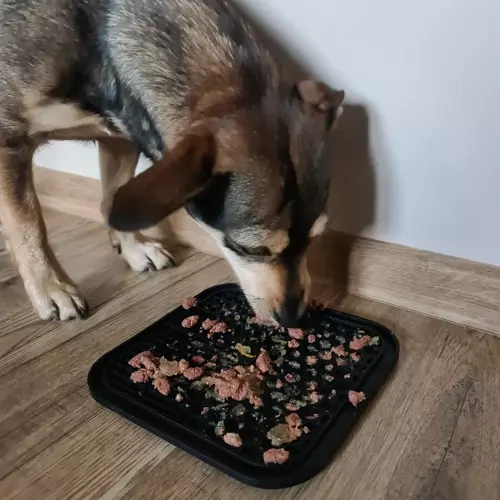 Antistressmatta / hundbricka