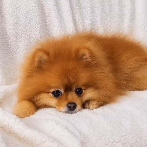 Dubbelsidig filt 150 × 200 cm – mörkgrå RUHHY